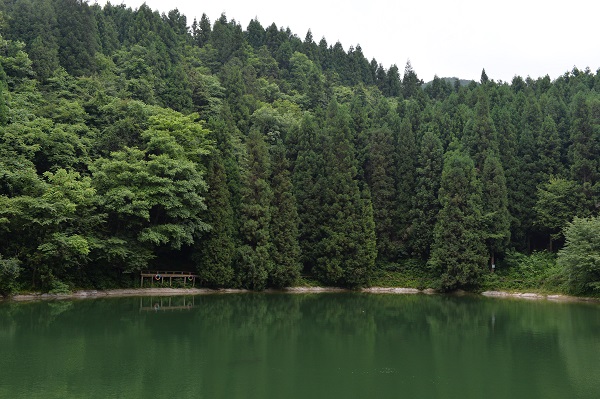 重庆市医药卫生学校(图1)