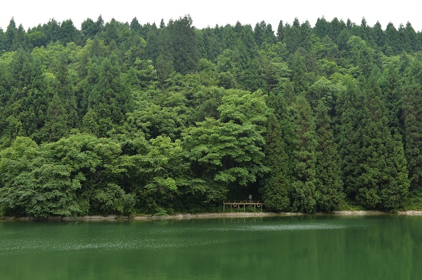 重庆涪陵医药卫生学校官网(图1)