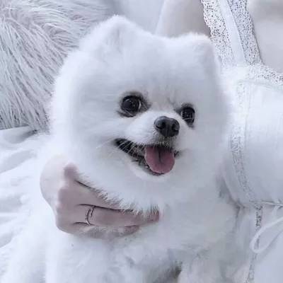 台湾福星彩下载手机版