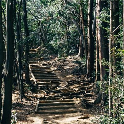 BOB体育最新版本下载
