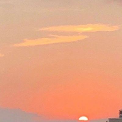 6686体育下载手机版截图