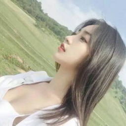澳门最准最快资料网站下载