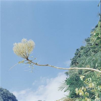 管家婆一码一肖资料