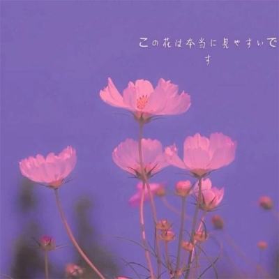 Kaiyun·开云体育