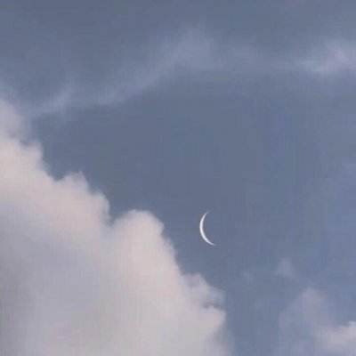 诺亚体育app下载安装手机版最新截图