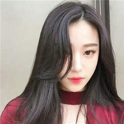 澳门4949资料免费大全app下载